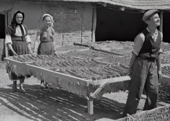 Cómo superar crisis económicas y alcanzar un crecimiento sostenible.