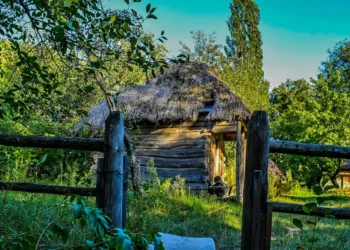 “La importancia de la Economía en nuestras vidas”
