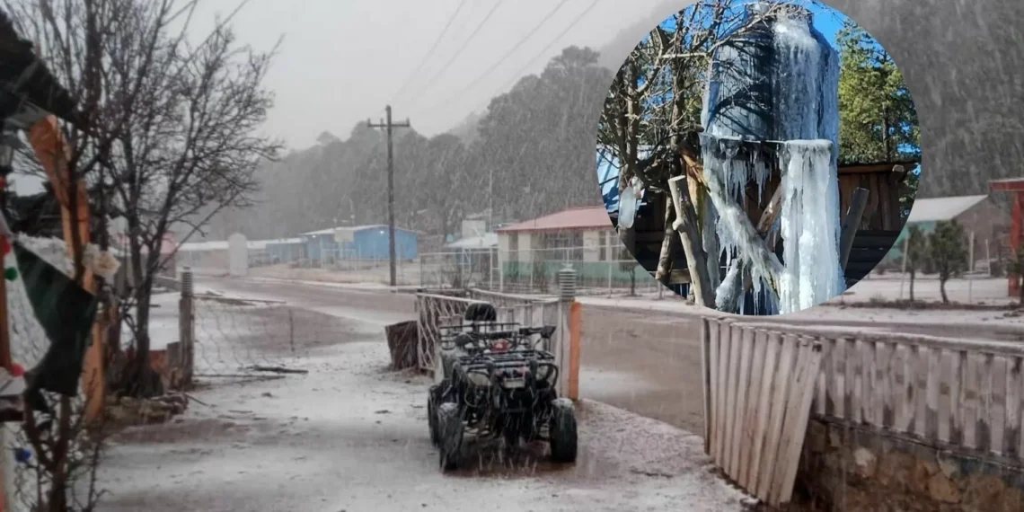 ¿Dónde se ubica La Rosilla, ‘el nevera de México’ que registra temperaturas bajo cero?