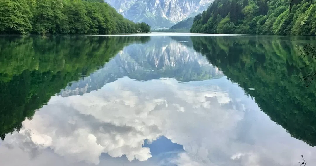 “Protegiendo nuestro planeta: Experiencias positivas en medio ambiente”