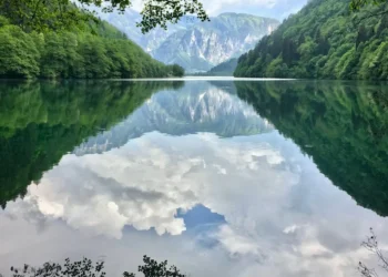 “Protegiendo nuestro planeta: Experiencias positivas en medio ambiente”