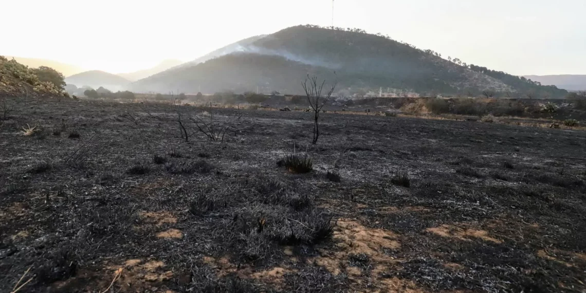 Liquidan incendio forestal en la sierra de Arteaga en Coahuila