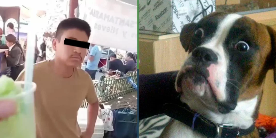 Ay, la inflación: turistas denuncian que venden en Atlixco a 80 pesos la canica de nieve