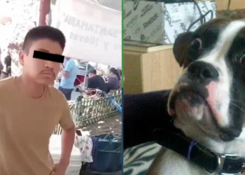 Ay, la inflación: turistas denuncian que venden en Atlixco a 80 pesos la canica de nieve