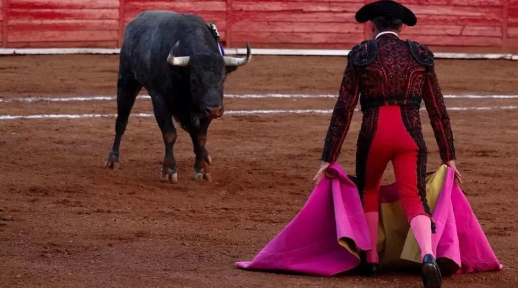 Aseguran ser sostén económico y animal