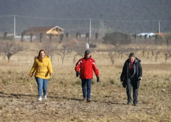 Intensificarán operativos para evitar el ingreso de carbón a la monte de Arteaga