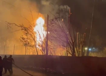 Incendio en patios de AHMSA fue provocado por adolescentes