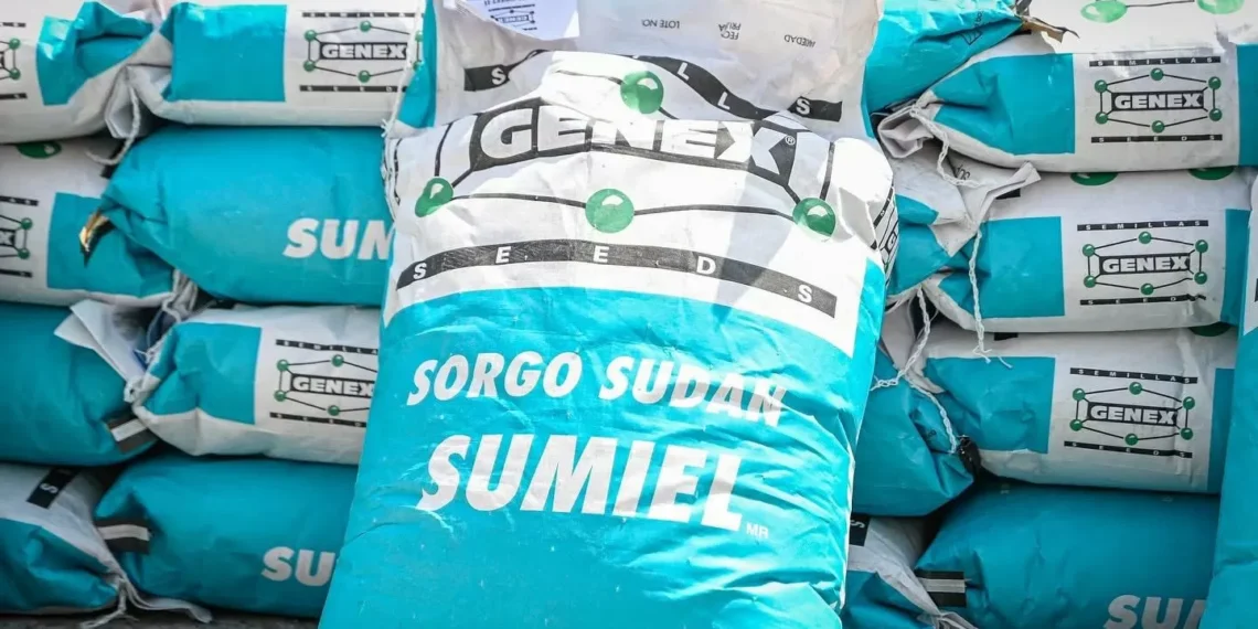 Entregan 12 toneladas de semilla de sorgo forrajero en Monclova