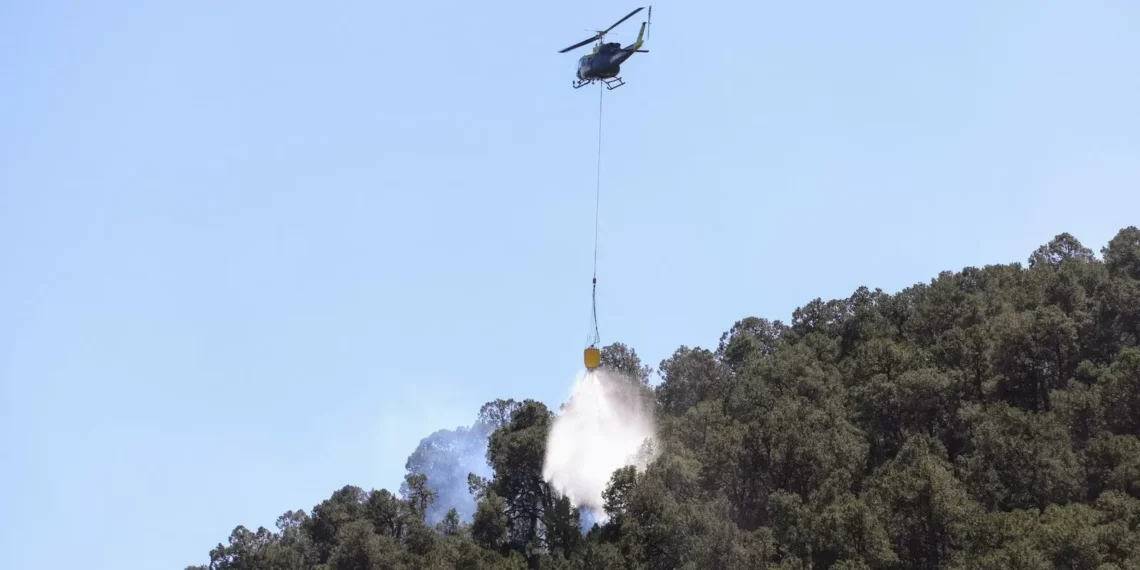 70% de control lleva incendio de El Tunal en Arteaga