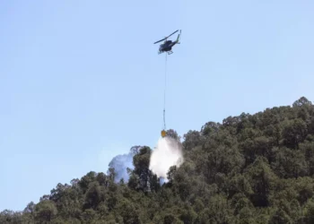 70% de control lleva incendio de El Tunal en Arteaga
