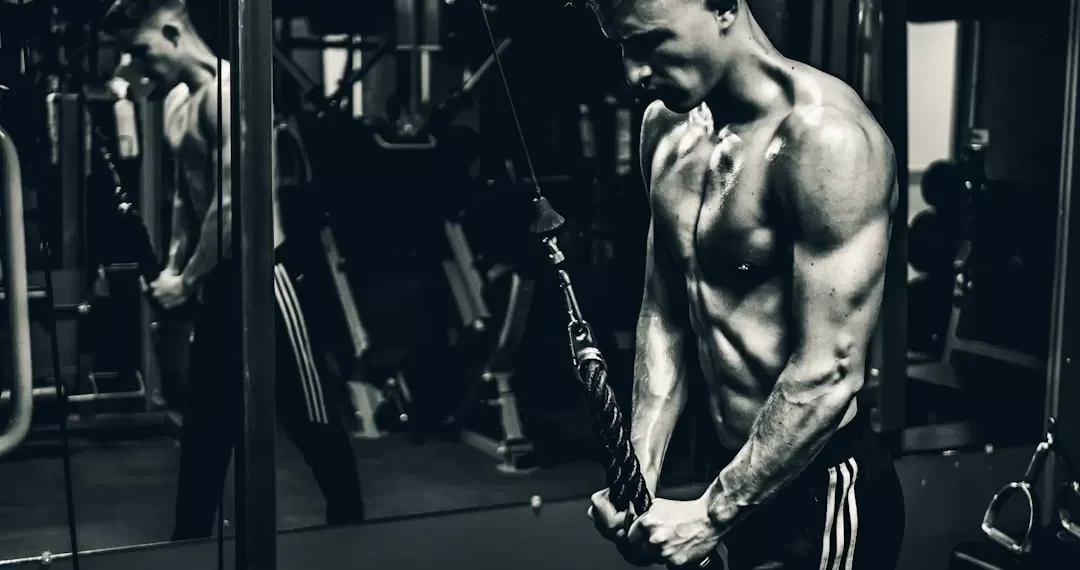 “El bienestar integral: clave para una vida plena y saludable”