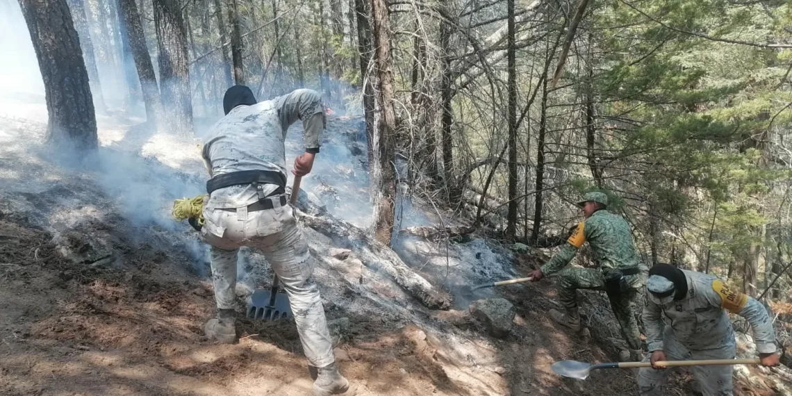 Refuerzan combate a incendio en Ocampo