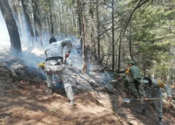 Refuerzan combate a incendio en Ocampo