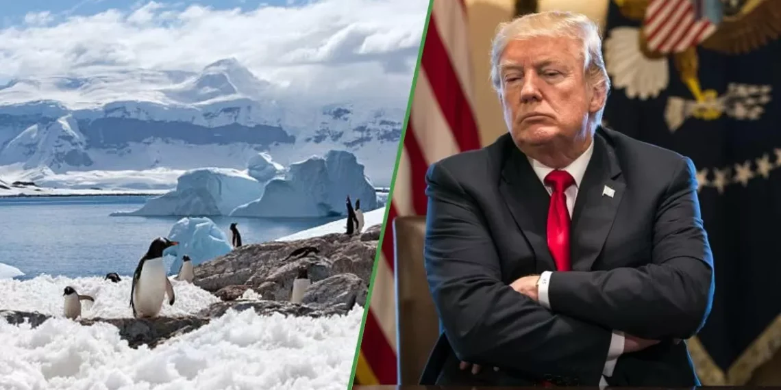 En represalia, la Antártida impondrá aranceles a los productos gringos