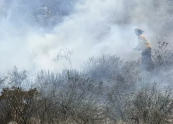 Más de 400 incendios no obstante registra Ramos Arizpe; la mayoría fueron provocados