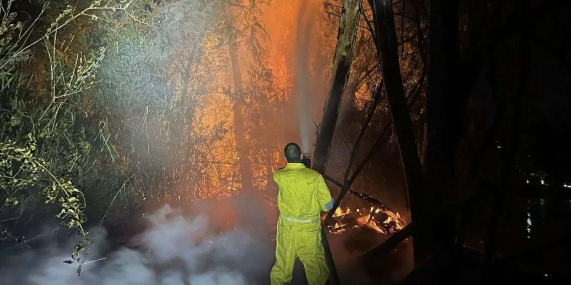 Incendio forestal en el río Sabinas deja daños irreparables