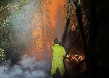 Incendio forestal en el río Sabinas deja daños irreparables