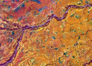 “Por un futuro sostenible: el cuidado del medio ambiente”