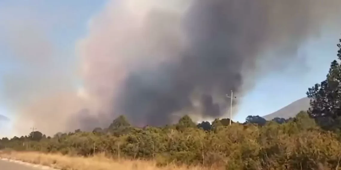 Se incendia nuevamente la sierra de Arteaga; habitantes reportan que el fuego está exterior de control