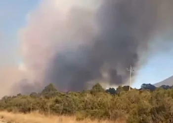 Se incendia nuevamente la sierra de Arteaga; habitantes reportan que el fuego está exterior de control