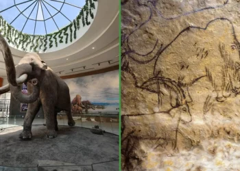 Científicos clonan a mamut, empero lo cancelan en redes por algo que tuiteó en el 8 mil A.C.