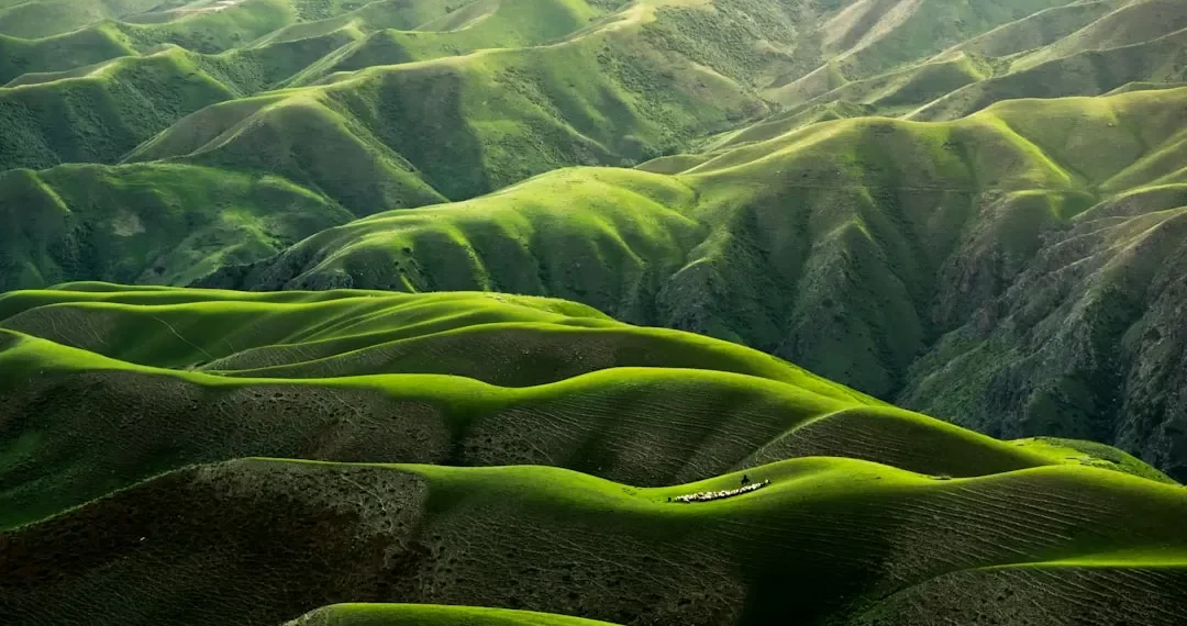 “Desafíos ambientales: protegiendo nuestro planeta”