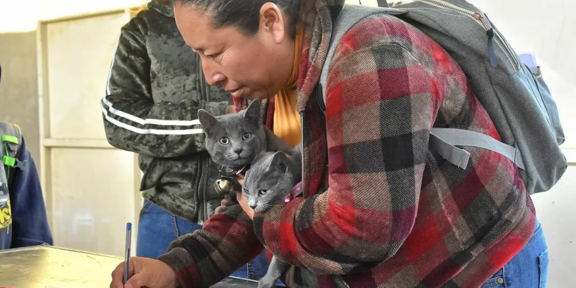 jabalina Cuatro Ciénegas campaña gratuita de esterilización para perros y gatos
