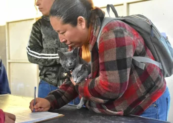 jabalina Cuatro Ciénegas campaña gratuita de esterilización para perros y gatos