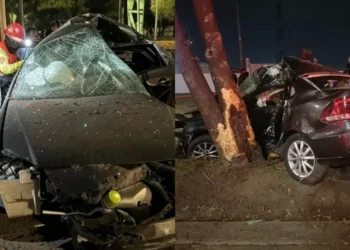 Muere mujer al chocar contra árbol en Periférico Oriente