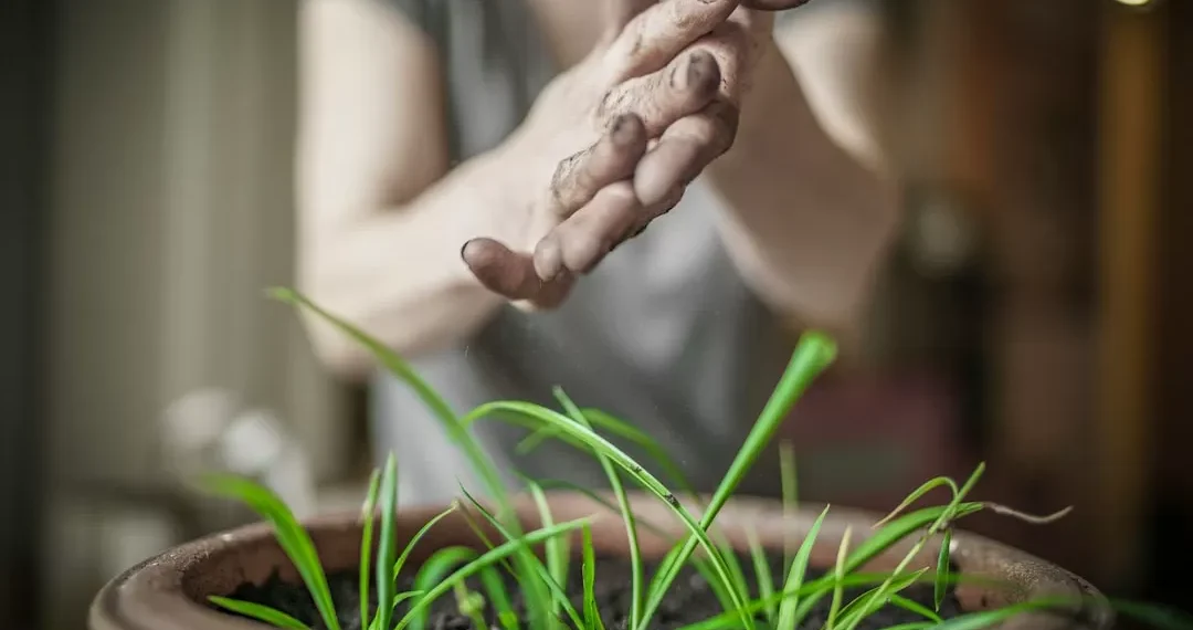 “Experiencias positivas: Protegiendo nuestro Medio ambiente juntos”