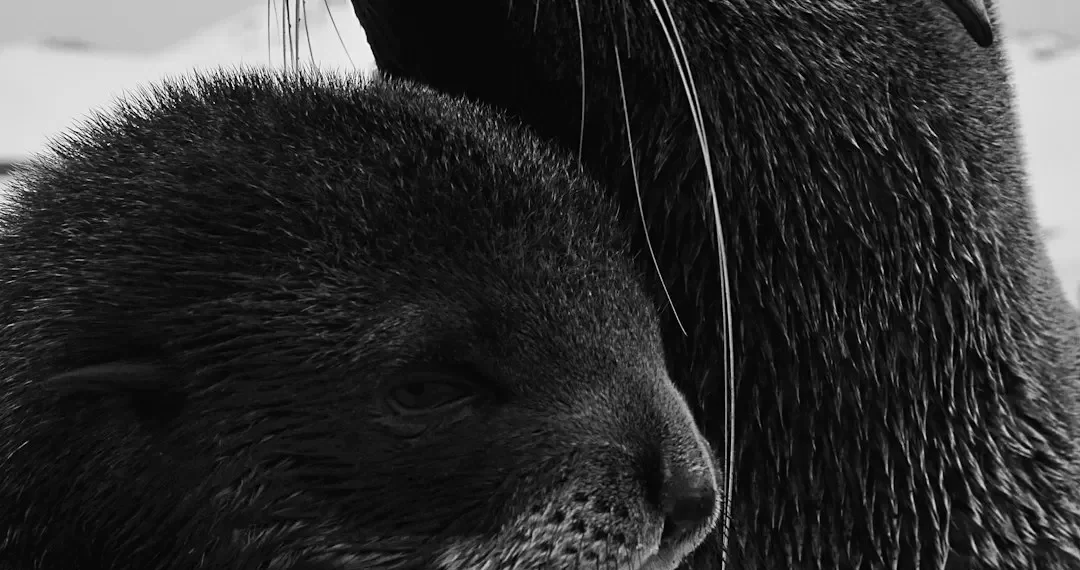 “Protegiendo nuestro hogar: la importancia del medio ambiente”