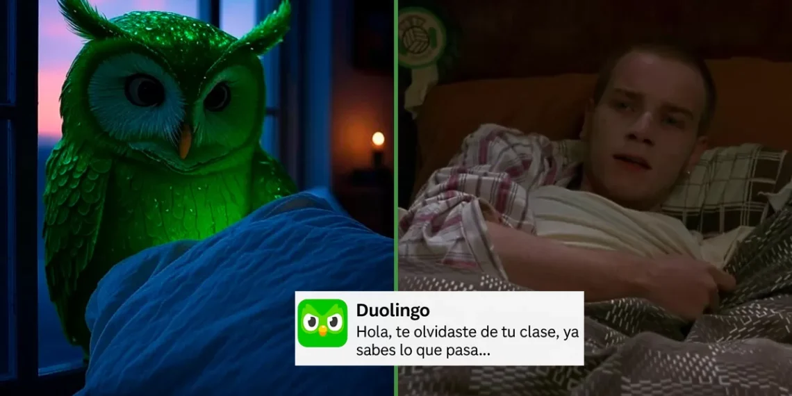 “Duo me visita en sueños”: Usuarios reportan apariciones nocturnas del búho verde tras tres días sin profesar