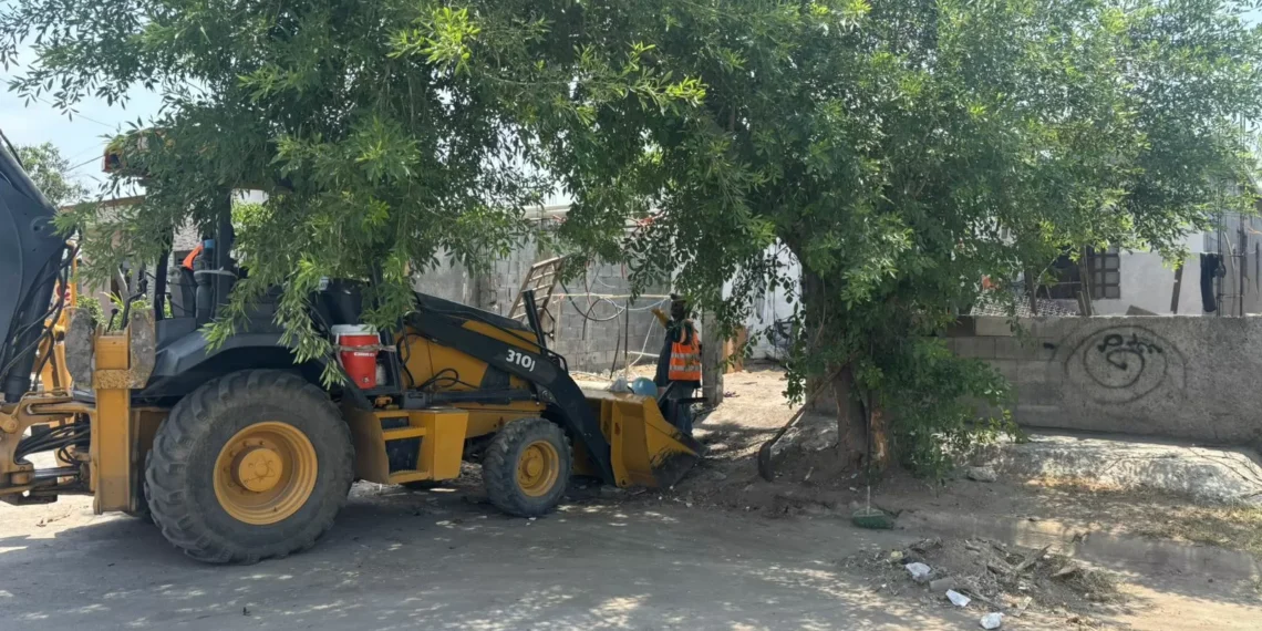 En Frontera combaten focos de infección por acumulación de basura