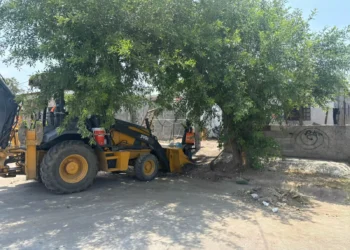 En Frontera combaten focos de infección por acumulación de basura