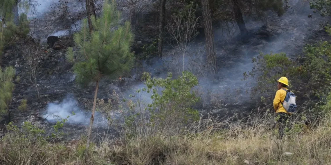 Suman 268 incendios forestales en Durango, sequía y altas temperaturas han elevado fortuna