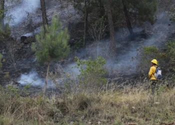 Suman 268 incendios forestales en Durango, sequía y altas temperaturas han elevado fortuna
