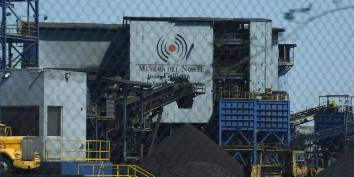 Rechazan venta parcial de activos de Minera del Norte