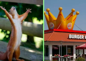 Burger King tiene tantas promos que no obstante mejor regalará 45 mil Whoppers este 26 de mayo