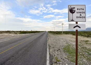 Ruta de “Vinos y Dinos” de Coahuila es modelo internacional: Hilda Flores