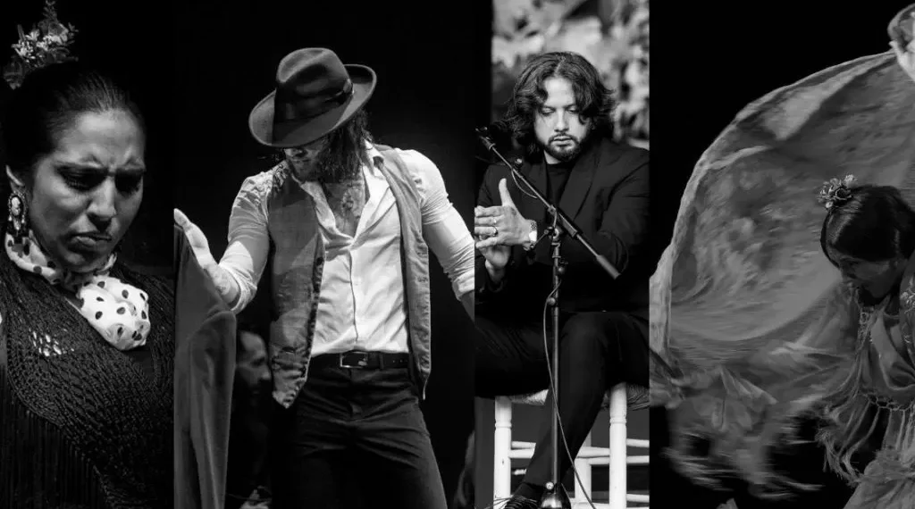 El espectáculo que fusiona galga, baile & toque, se presentará en 11 ciudades de la República con un elenco de primer nivel