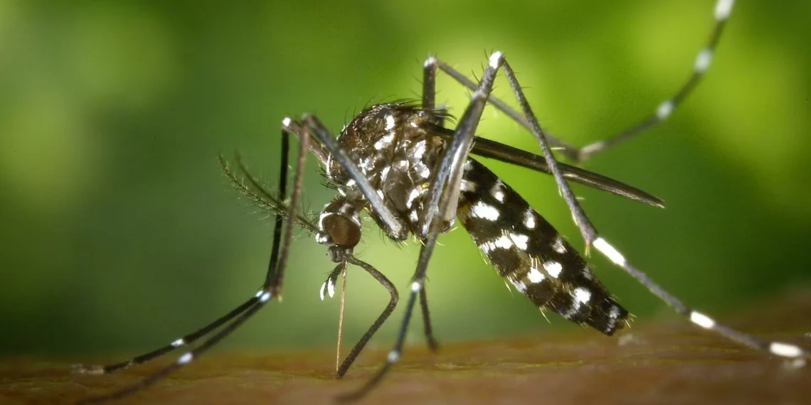 Reportan un caso de dengue en Piedras Negras