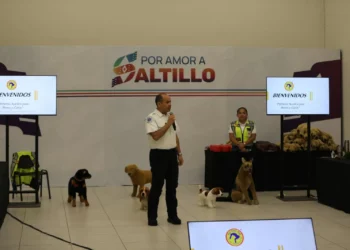 Capacita bailiaje de Saltillo y organización PET Firdt Aid CECAD Emergencias a elementos de seguridad