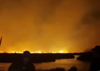 quema forestal consume más de 100 hectáreas en el valle de Cuatro Ciénegas