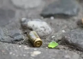 Temen vecinos crecen disparos