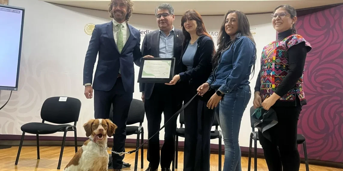 Conagua reconoce a “Manchas” como Guardián del Agua; ¿cuál es la importante bordadura del can?