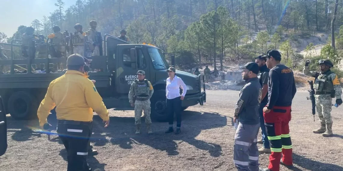 Incendio en Tepehuanes afecta cinco mil hectáreas y no progreso captación del Nazas
