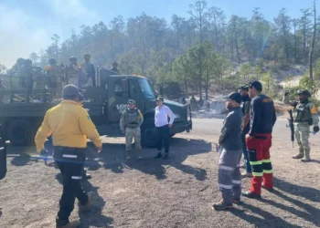 Incendio en Tepehuanes afecta cinco mil hectáreas y no progreso captación del Nazas