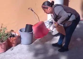 Refuerzan cerco contra dengue, rickettsiosis y sarampión