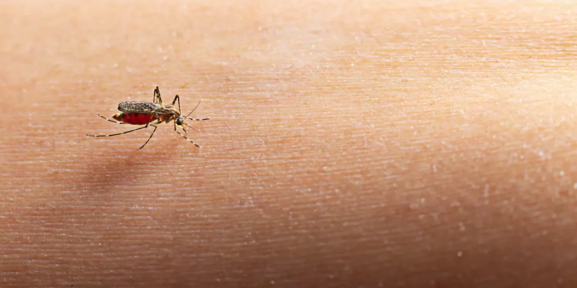 ¿Cómo puedo evitar las picaduras de mosquitos?