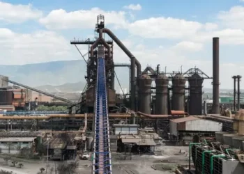 Limitado el acceso a AHMSA; solo se permite conservación de activos